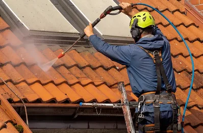 Démoussage et hydrofuge de toiture à Angé